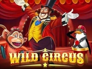 Wild Circus game icon